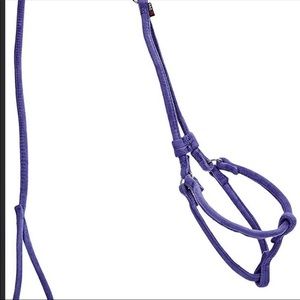 Dog Line Leash And Harness set